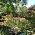 IMG_0154