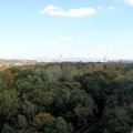 IMG_0156