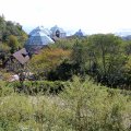 IMG_0190
