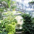 IMG_0197