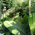 IMG_0200
