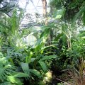 IMG_0201