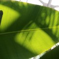 IMG_0203