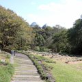 IMG_0205