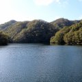 IMG_0217
