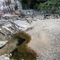 IMG_0220