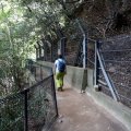 IMG_0221
