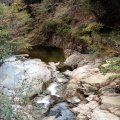 IMG_0224