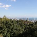 IMG_0229
