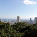 IMG_0230