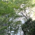 IMG_0234