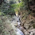 IMG_0238