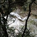 IMG_0239