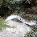 IMG_0240