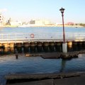 IMG_0248