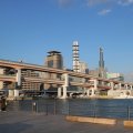 IMG_0250