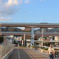 IMG_0251