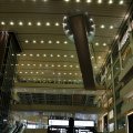 IMG_0259
