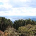 IMG_0265