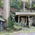 IMG_0281