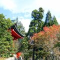 IMG_0287
