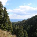 IMG_0290