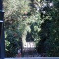 IMG_0300