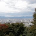 IMG_0342