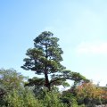 IMG_0130