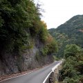 IMG_2550