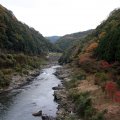 IMG_2561