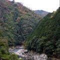 IMG_2564