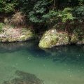 IMG_2567