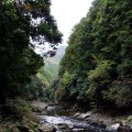 IMG_2568