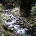 IMG_2573