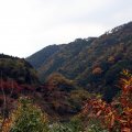 IMG_2657