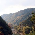 IMG_2666