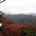 IMG_2896
