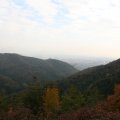 IMG_2899