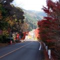 IMG_2923