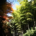 IMG_3146