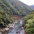 IMG_2531