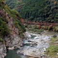 IMG_2537