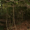 IMG_2559