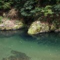 IMG_2567