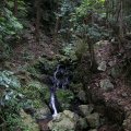 IMG_2576