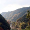 IMG_2666