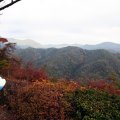 IMG_2896
