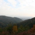 IMG_2899