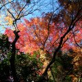 IMG_3147